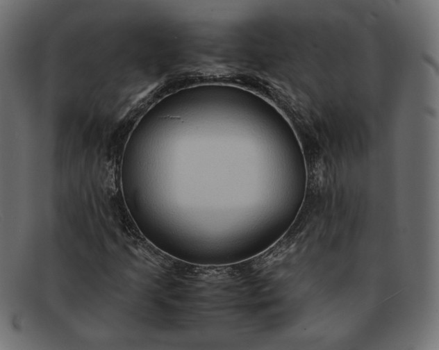 X0000091861205200709191109