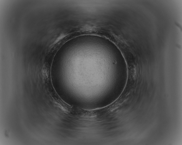 X0000091861206200709191109