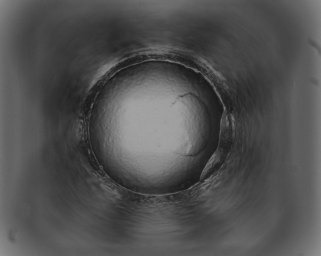 X0000091861208200709191109