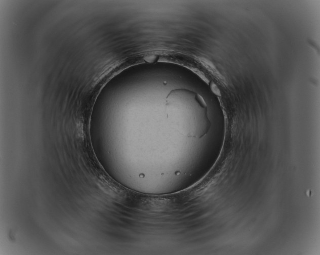 X0000091861209200709191109