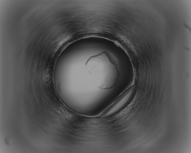 X0000091861210200709191109