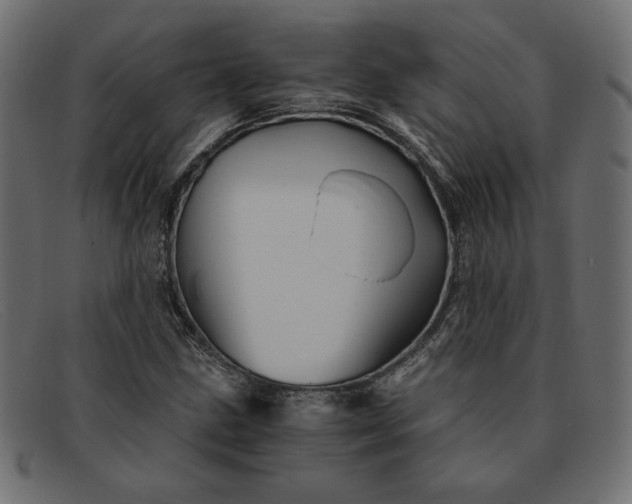 X0000091861211200709191109