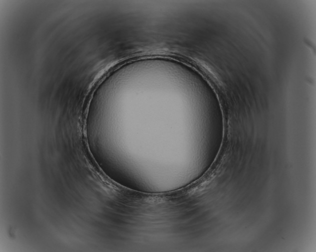 X0000091861212200709191109