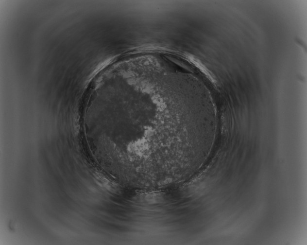 X0000091861213200709191109