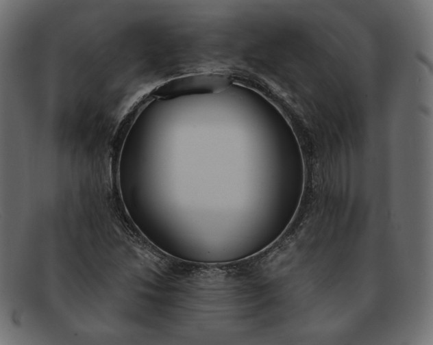 X0000091861214200709191109