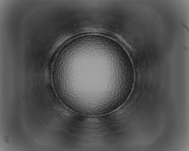 X0000091861215200709191109