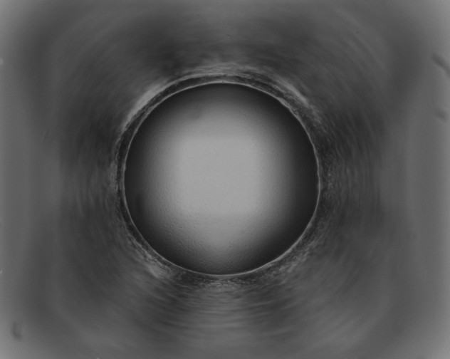 X0000091861216200709191109