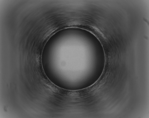 X0000091861217200709191109