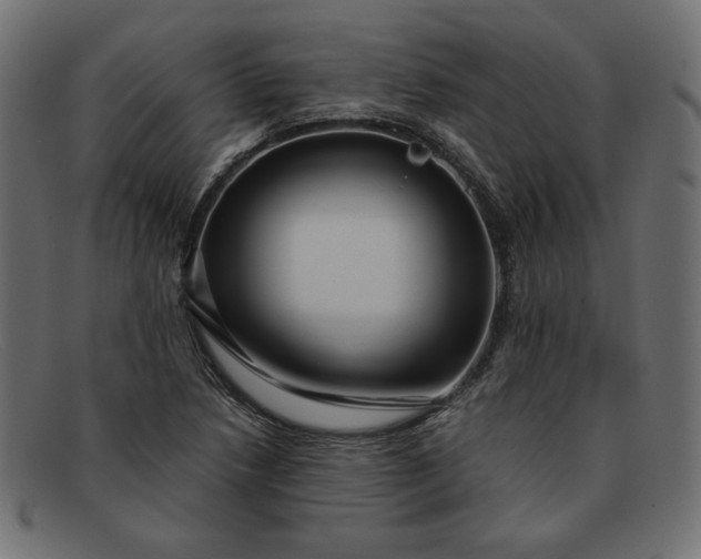 X0000091861218200709191110