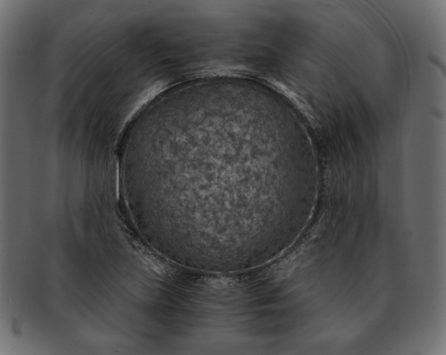 X0000091861219200709191110