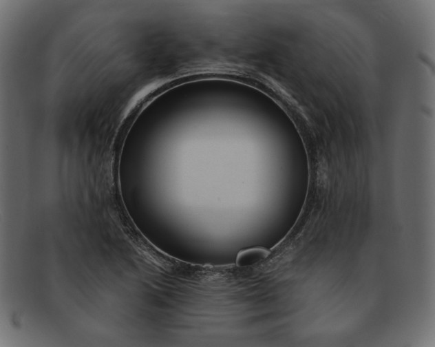 X0000091861222200709191110