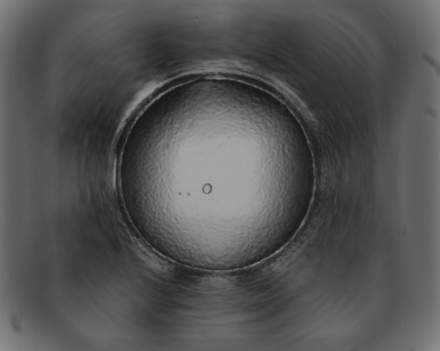 X0000091861224200709191110