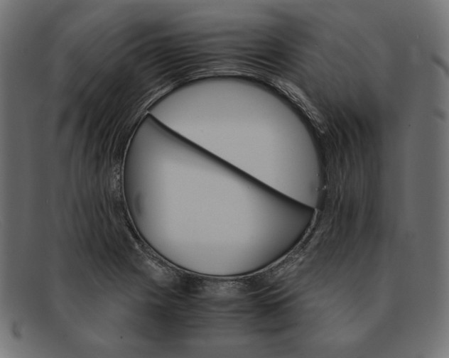 X0000091861225200709191110