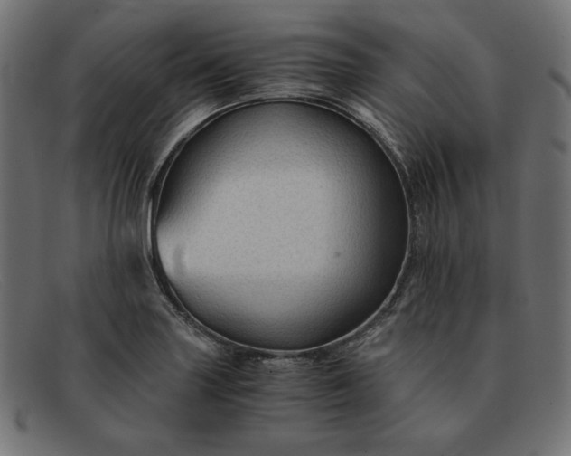 X0000091861227200709191110