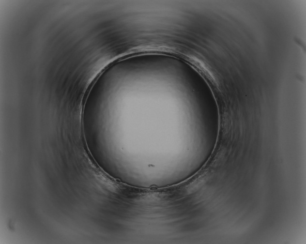 X0000091861228200709191110