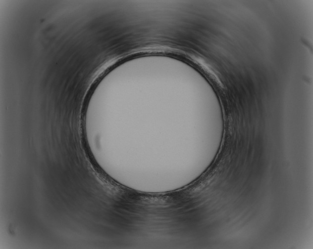 X0000091861229200709191110