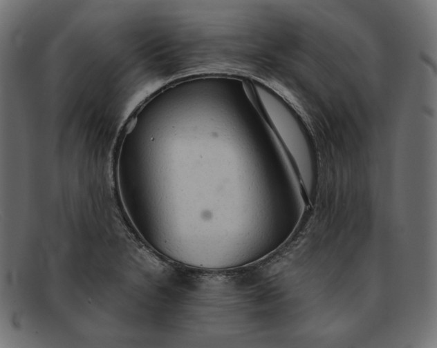 X0000091861230200709191110