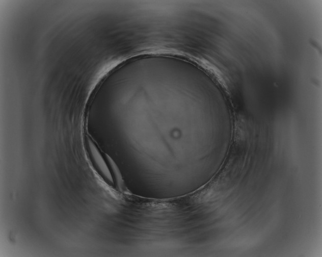 X0000091861231200709191110