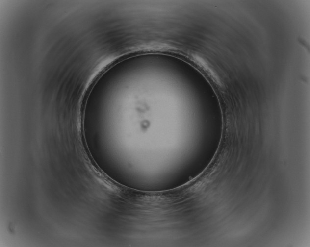 X0000091861232200709191110