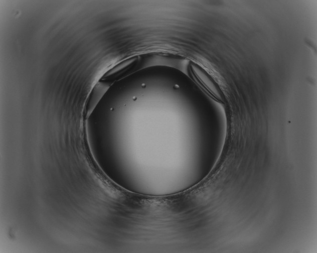 X0000091861234200709191110