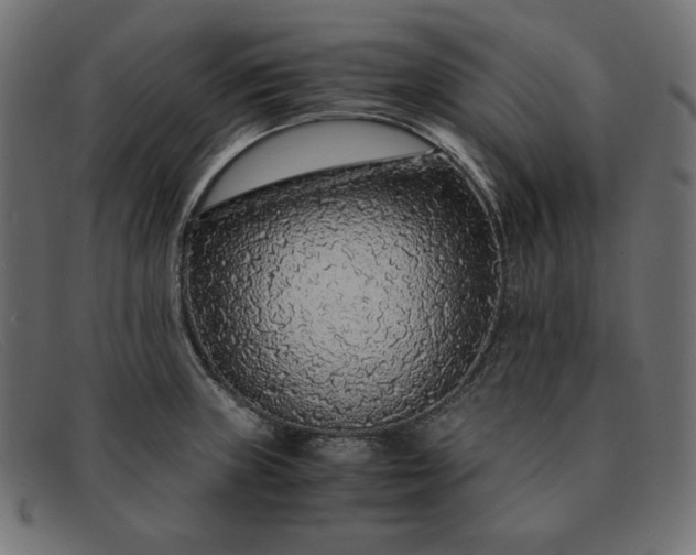 X0000091861235200709191110