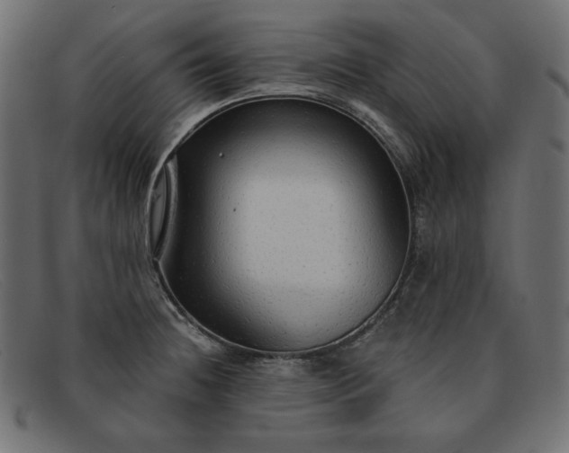 X0000091861236200709191110