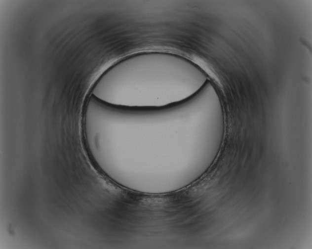 X0000091861237200709191110