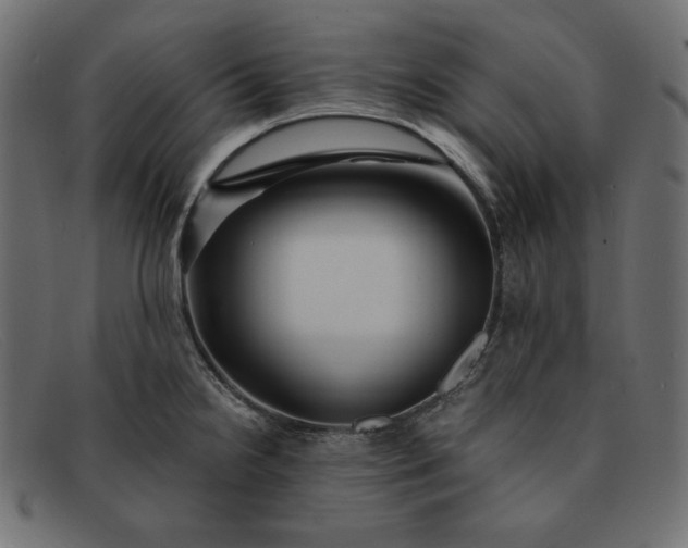 X0000091861238200709191110