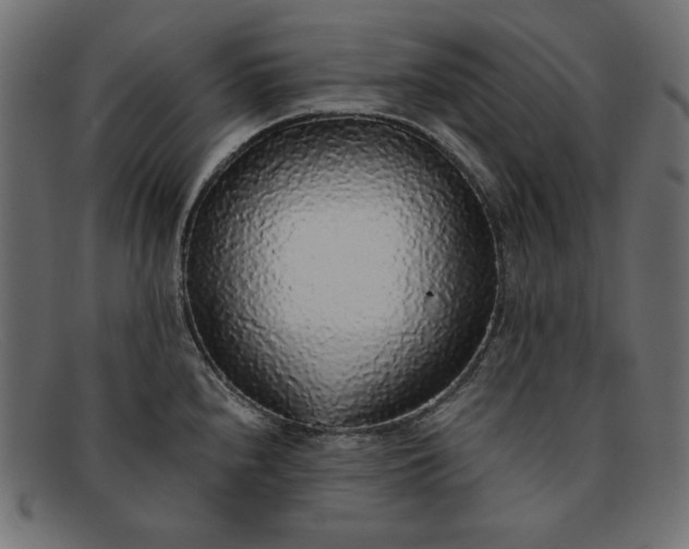 X0000091861240200709191110