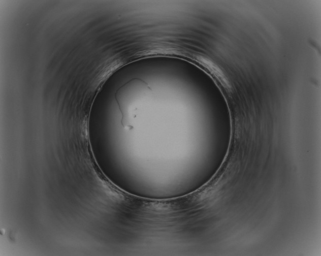 X0000091861241200709191110