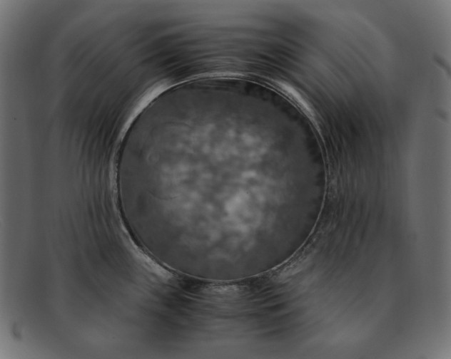 X0000091861243200709191110