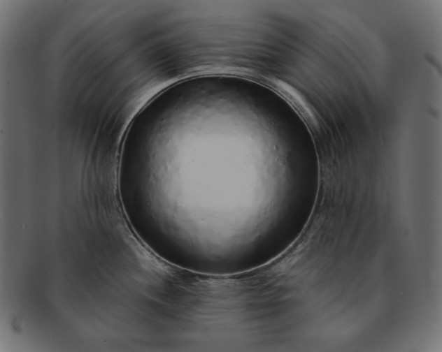 X0000091861244200709191110