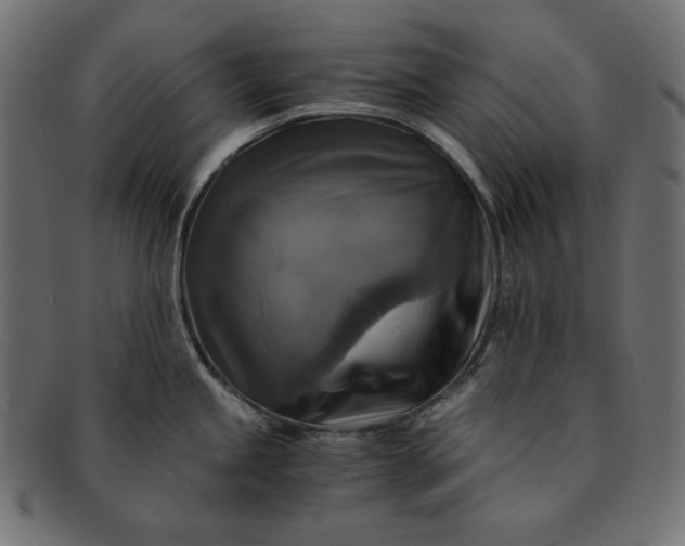 X0000091861245200709191110