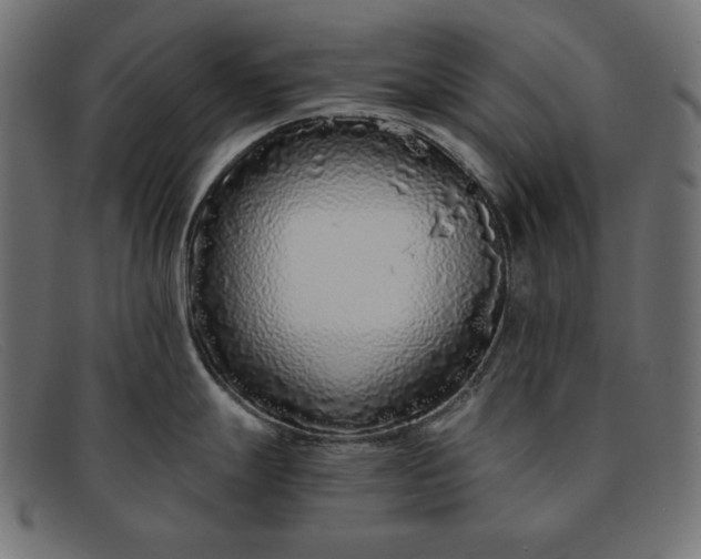 X0000091861247200709191110