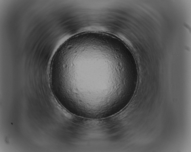 X0000091861248200709191110