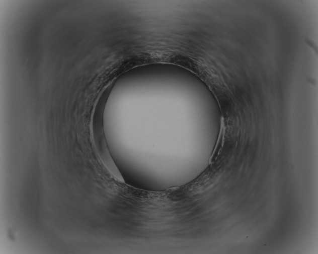 X0000091861249200709191109