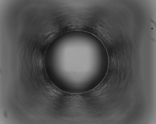 X0000091861250200709191109