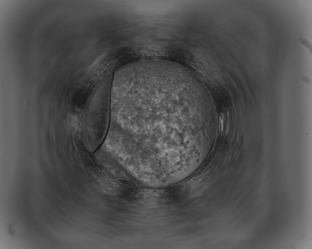 X0000091861251200709191109