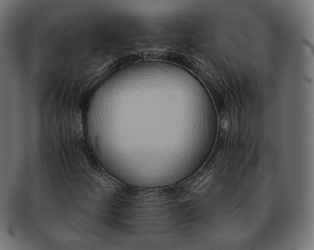 X0000091861252200709191109