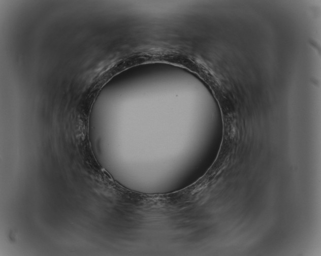 X0000091861253200709191109