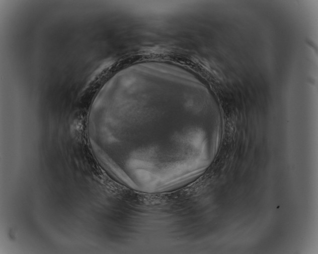 X0000091861254200709191109