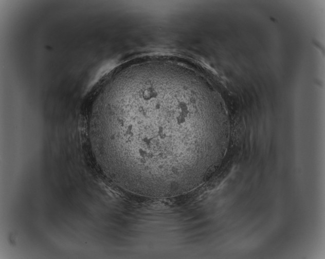 X0000091861255200709191109