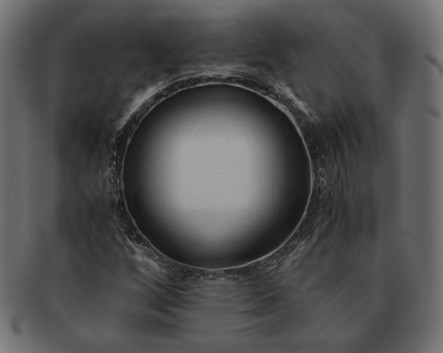 X0000091861256200709191109