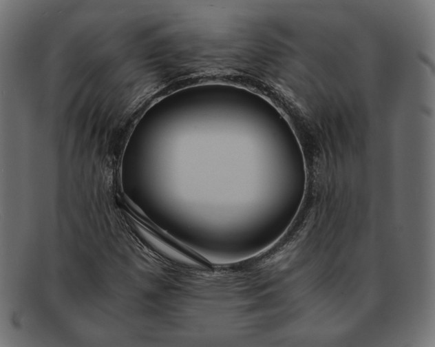 X0000091861257200709191109