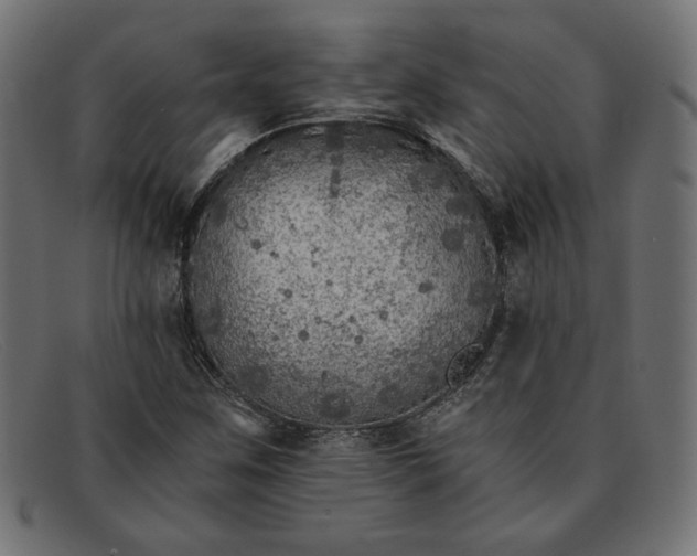 X0000091861259200709191109