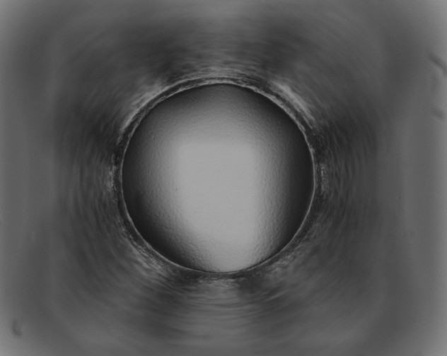 X0000091861260200709191109