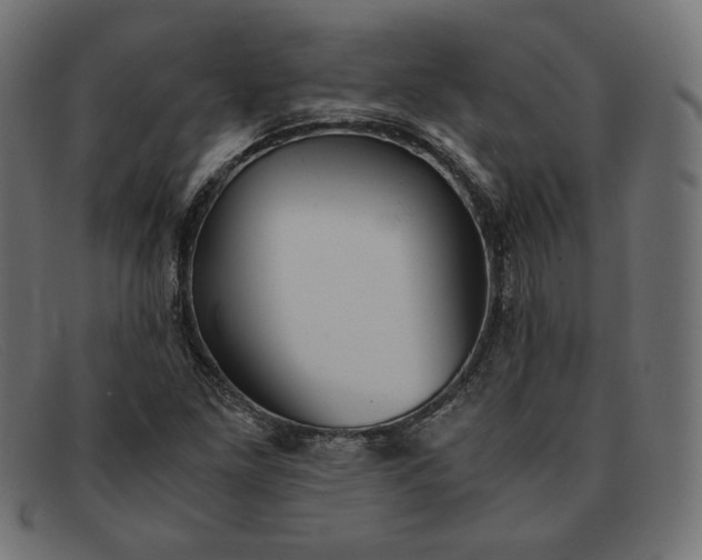 X0000091861261200709191109