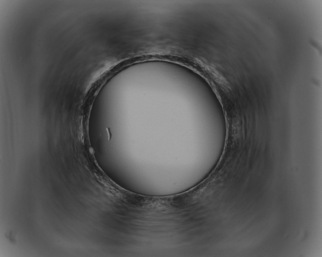 X0000091861262200709191109