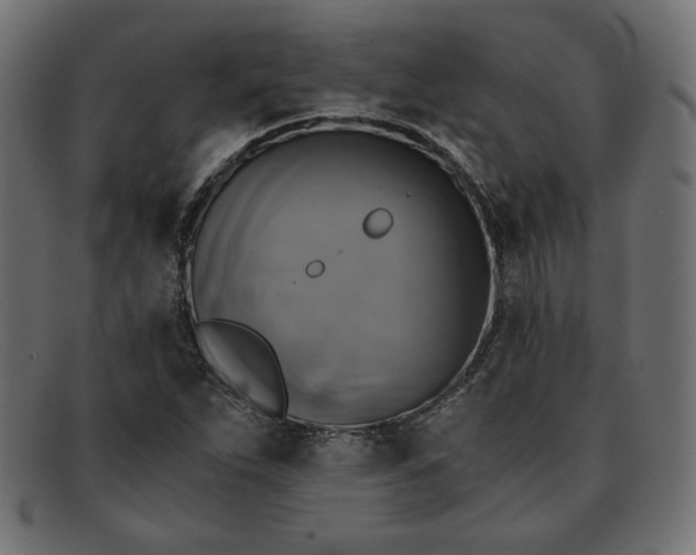 X0000091861263200709191109