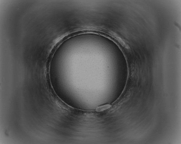 X0000091861264200709191109